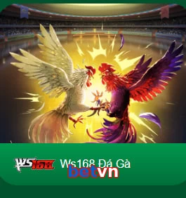 betvn